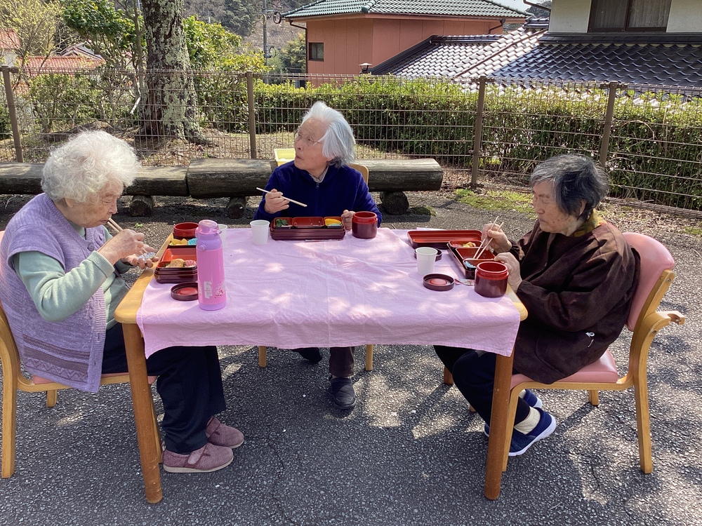 野外食