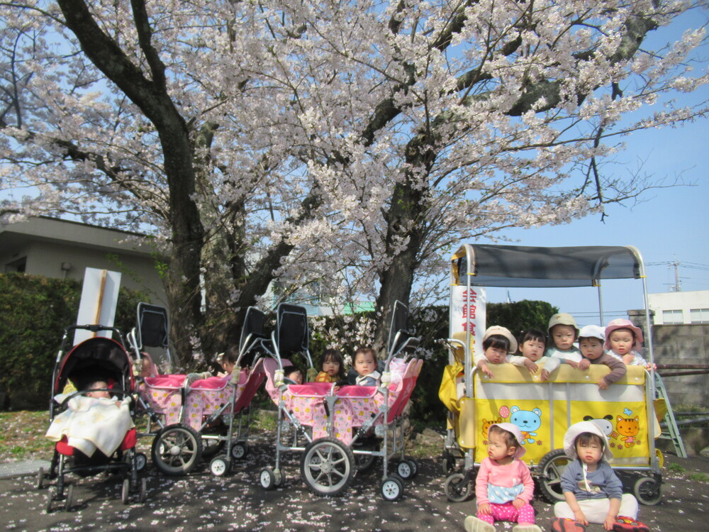 桜の下で記念撮影