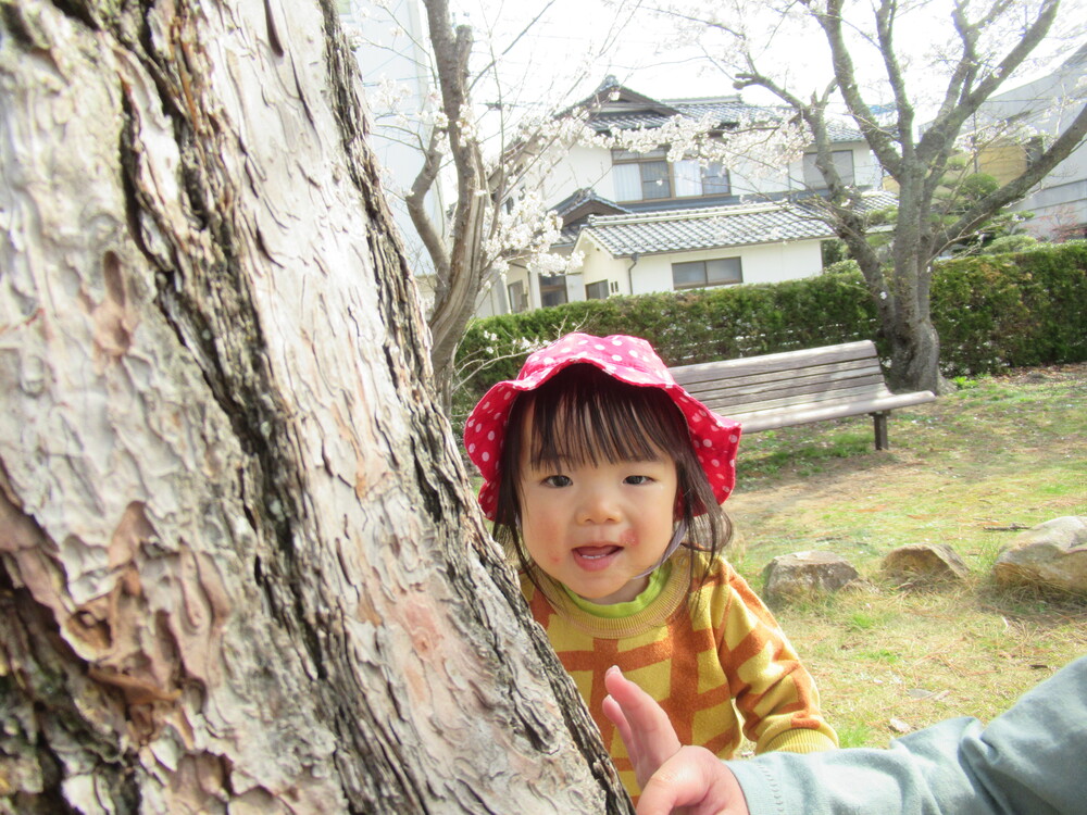 木の横から顔を出している