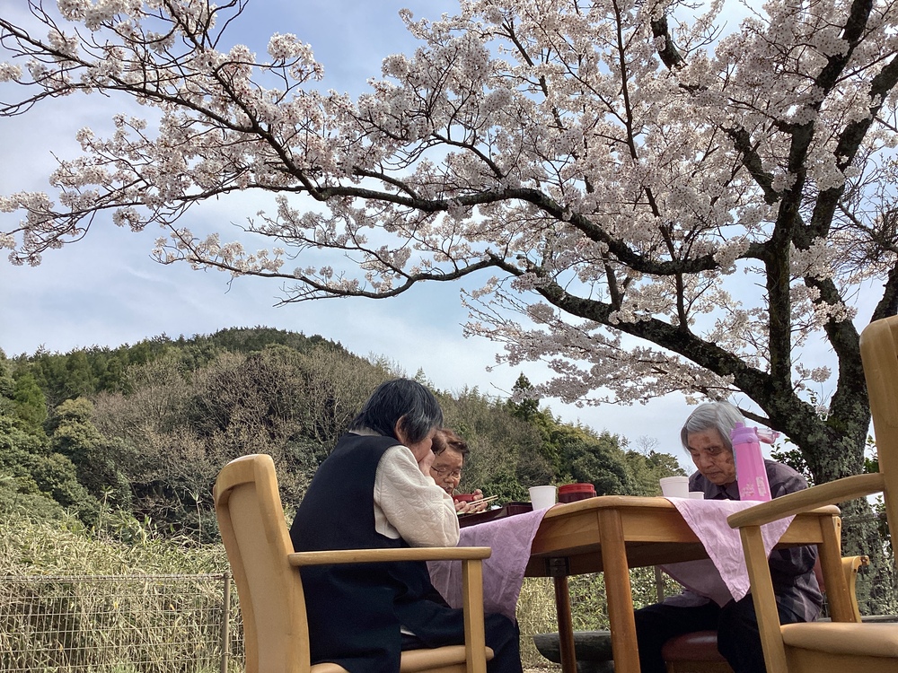 屋外食