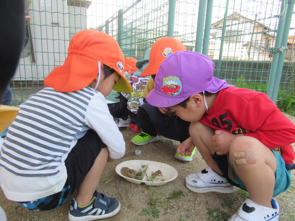 園庭で遊んでいる