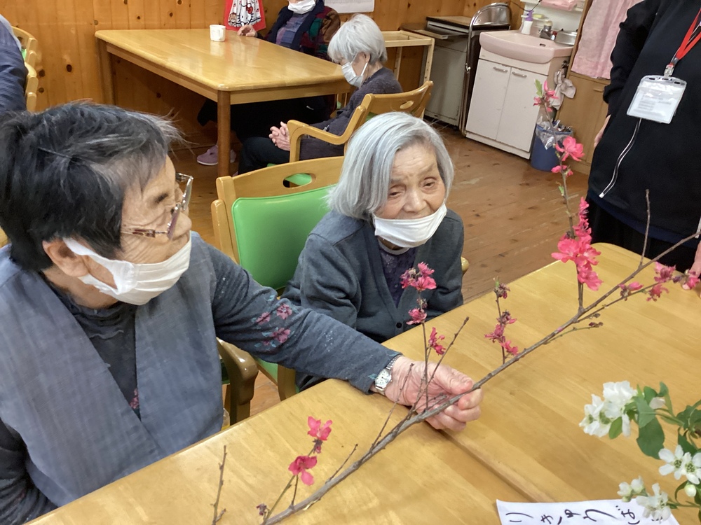 梅の花