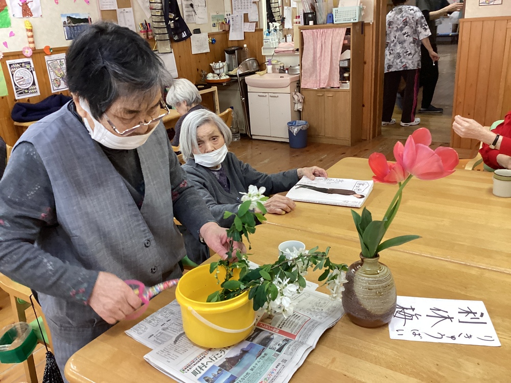 梅の花