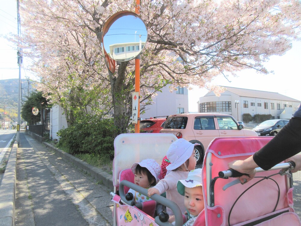 うさぎ組　円応寺散歩の様子