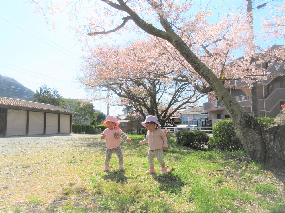 うさぎ組　円応寺散歩の様子 