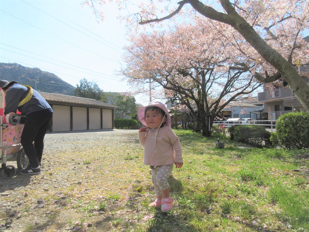 うさぎ組　円応寺散歩の様子 