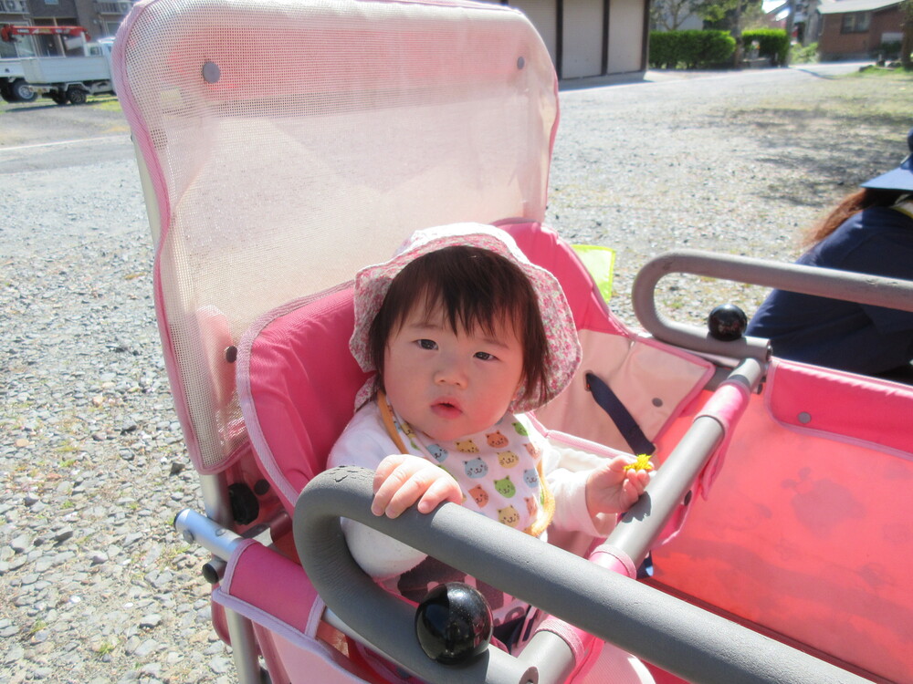 うさぎ組　円応寺散歩の様子