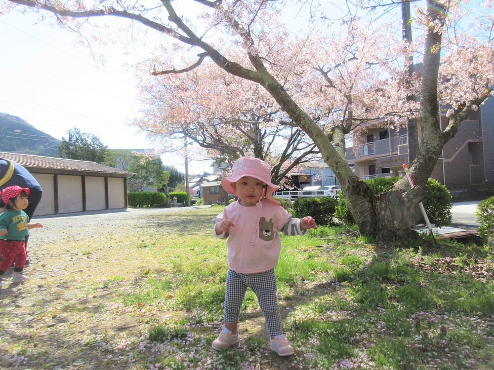 うさぎ組　円応寺散歩の様子