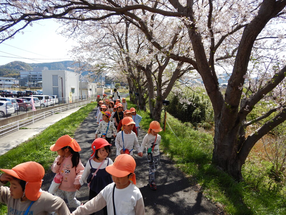 桜並木を歩く