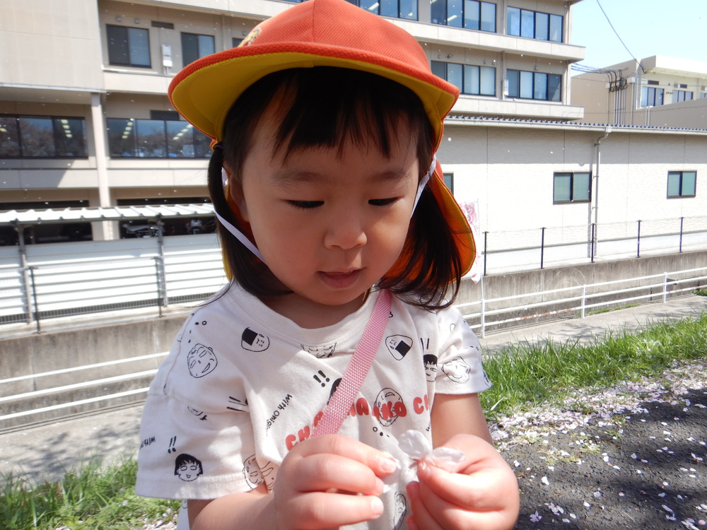 川土手