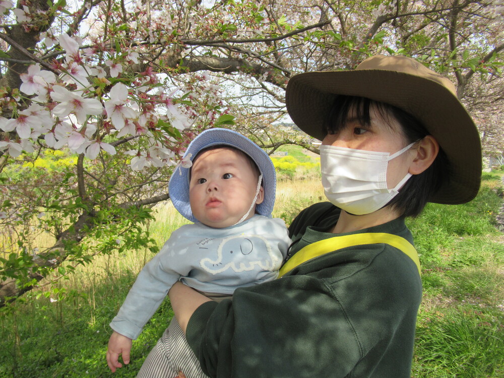 桜を見ている子ども