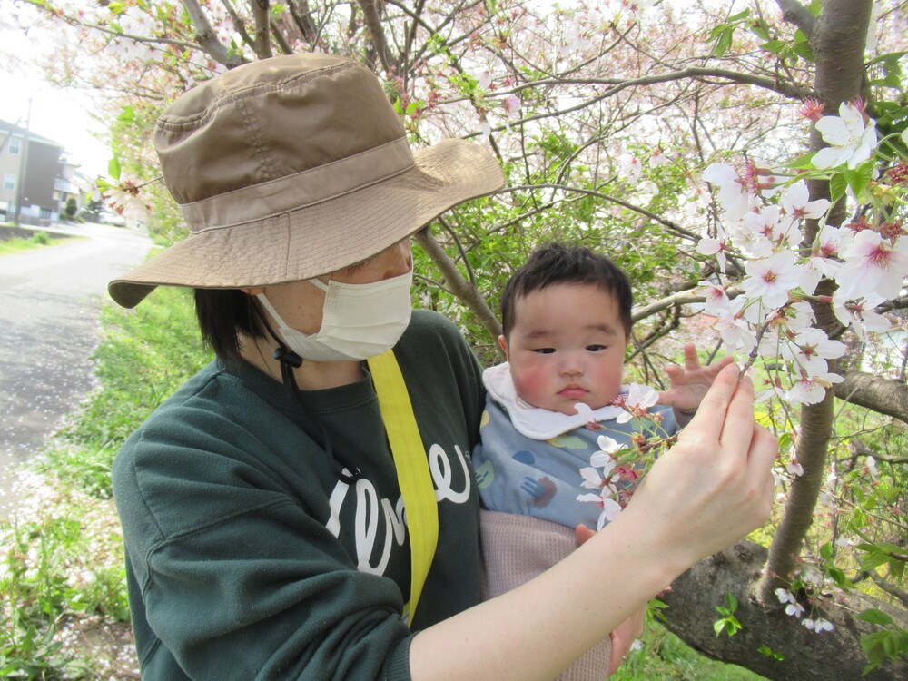 桜を見ている子ども