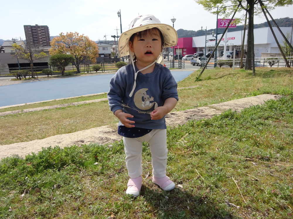 芝生の上を散策する女の子