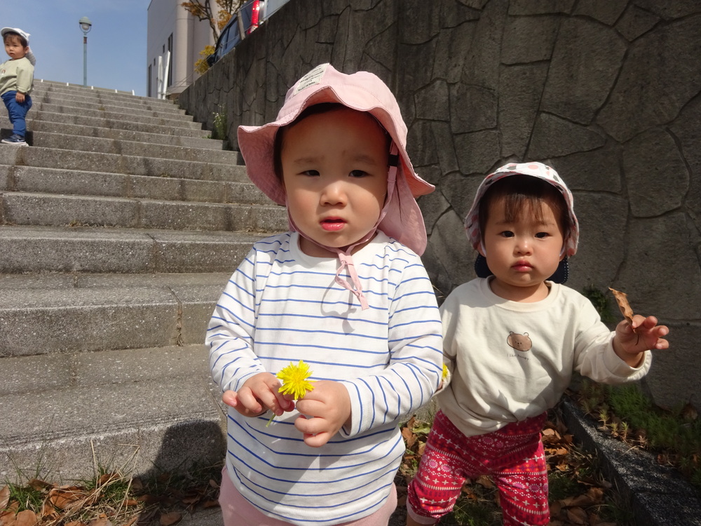 タンポポを持っている女の子