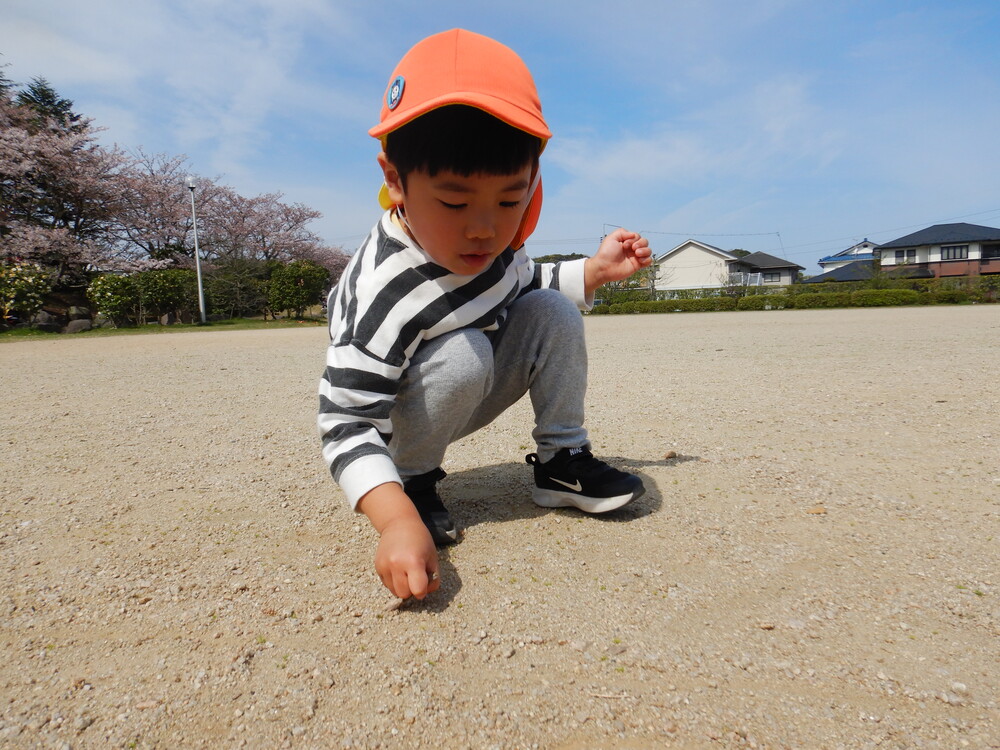 宮崎公園で遊ぶ