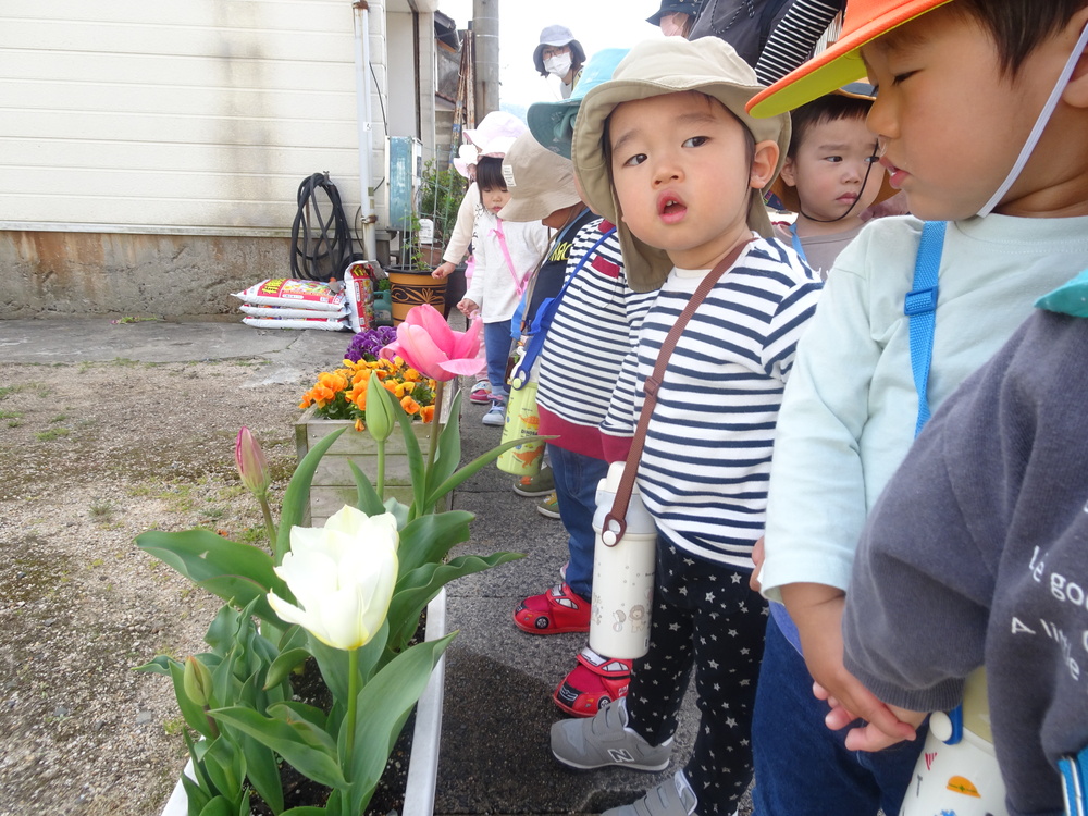 チューリップを見ている子どもたち
