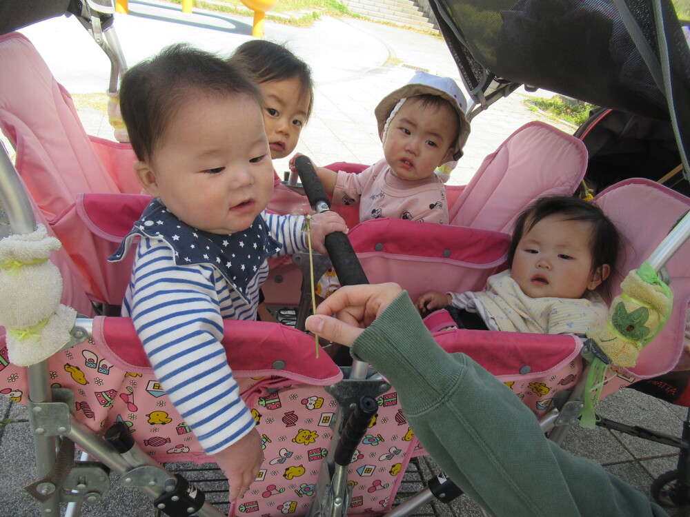 男の子が綿毛を見て微笑んでいる