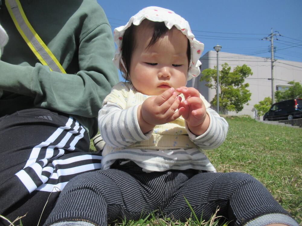 女の子が落ち葉を拾っている