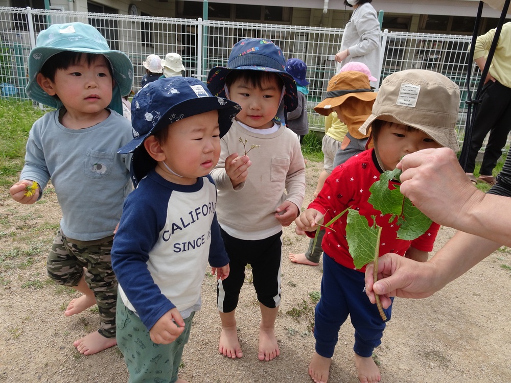 園庭遊び (7)