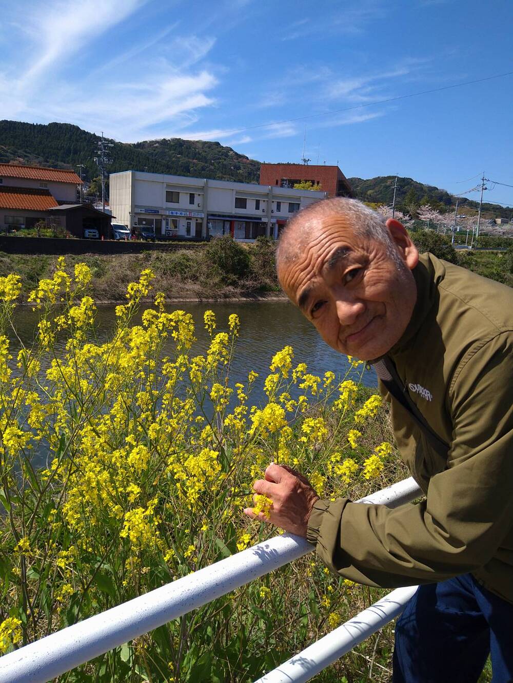 菜の花と一緒に