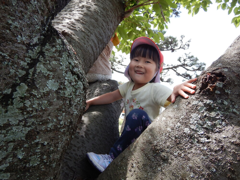 木登りをする２