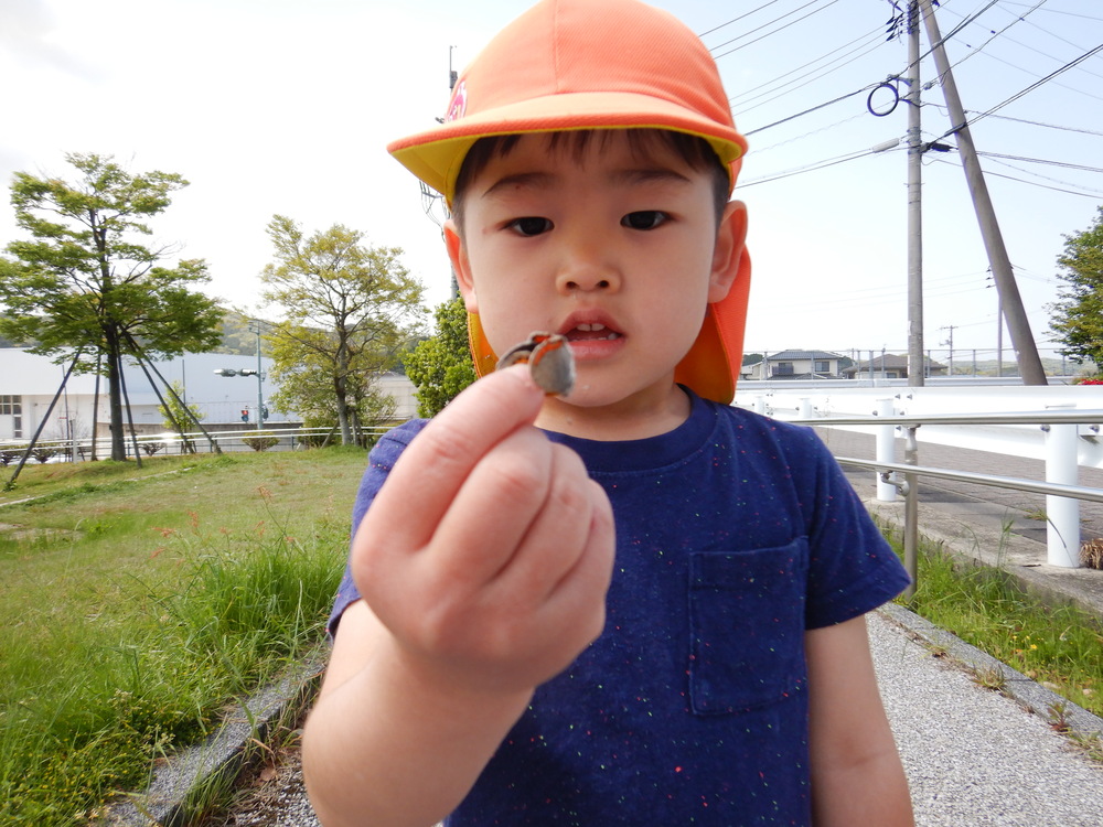 ちょうちょを捕まえる