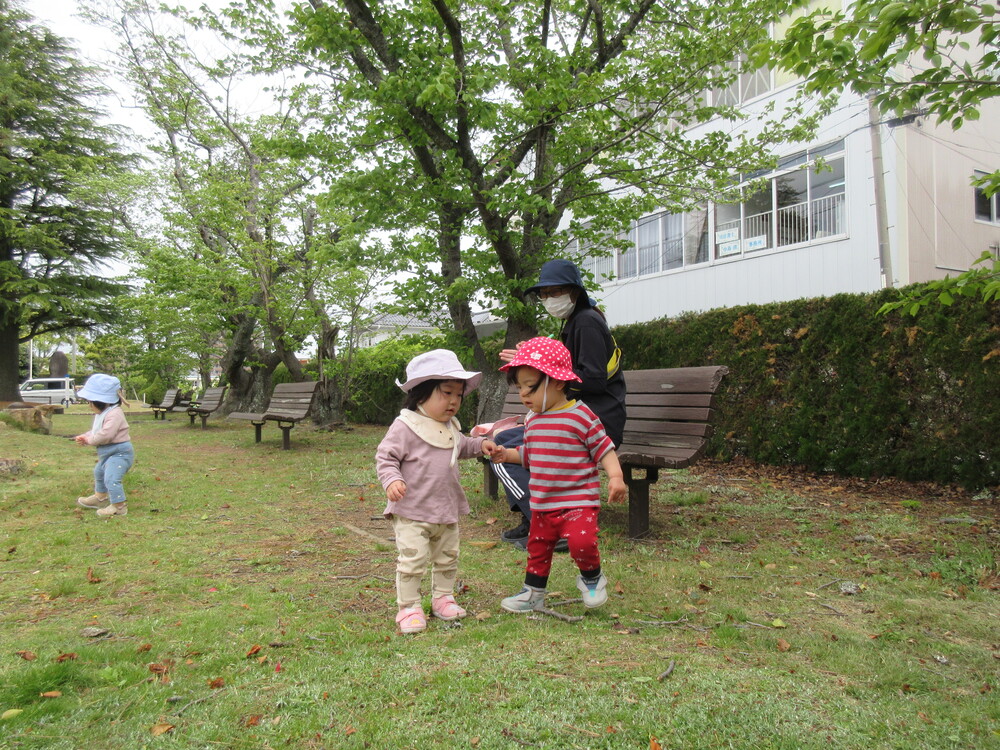 お散歩の様子