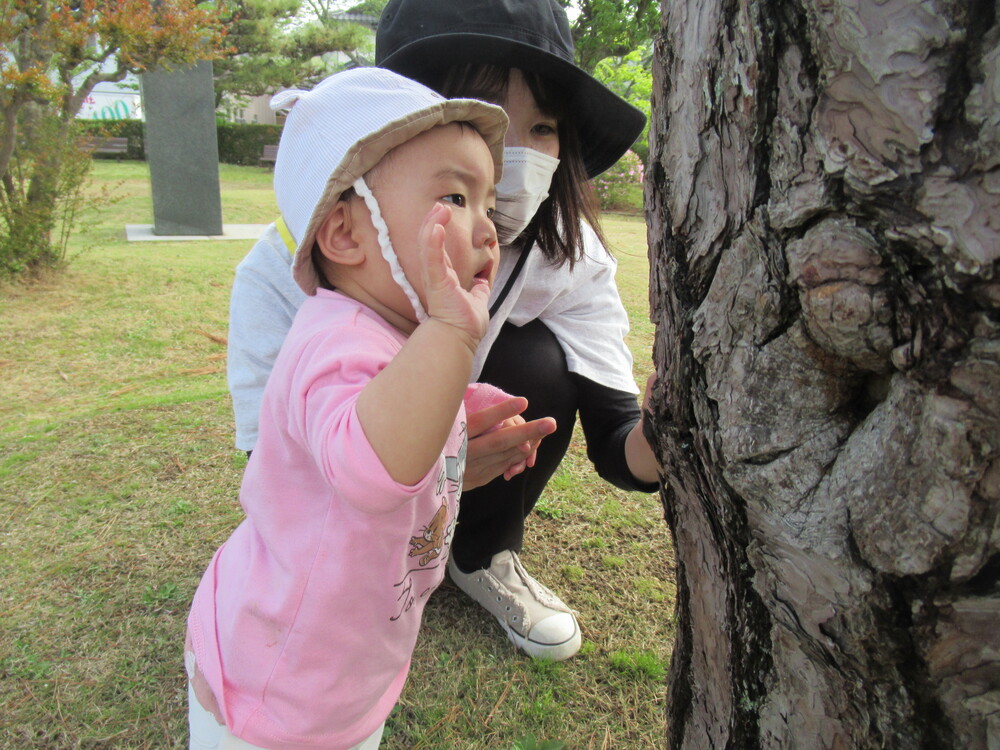 木を触る子ども