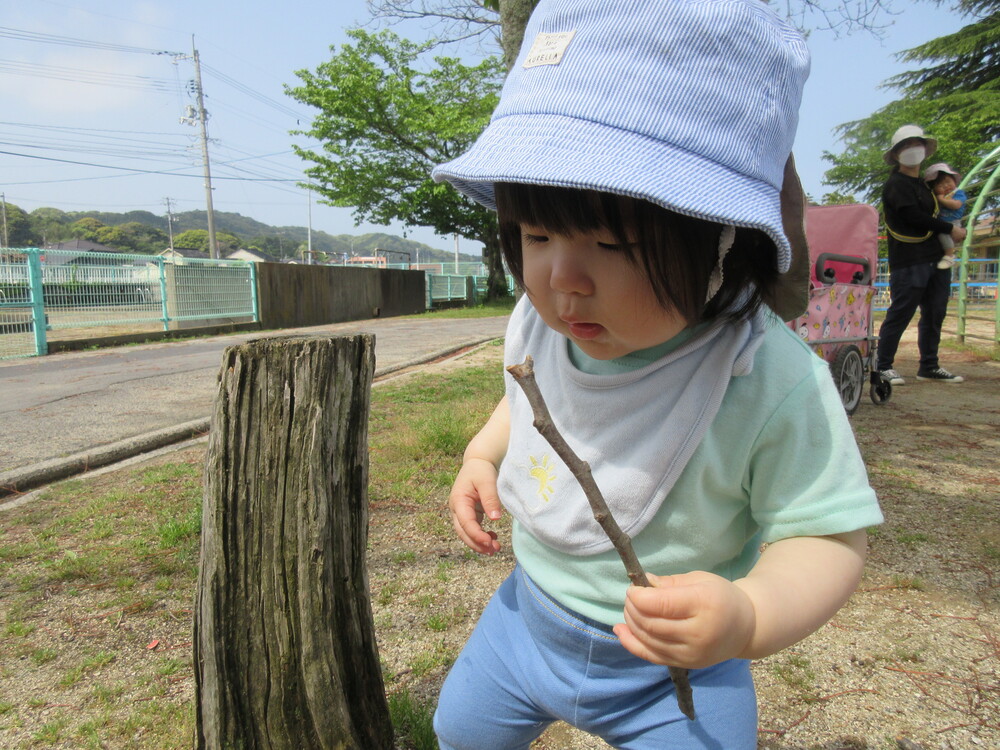 枝を持って歩いている