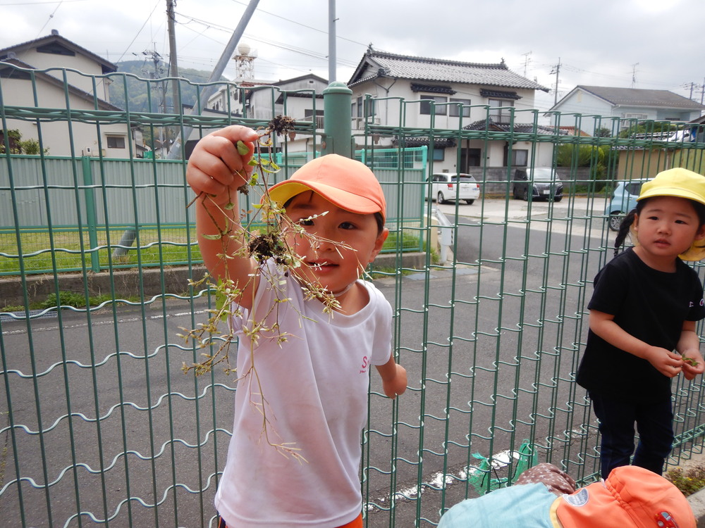 草抜き