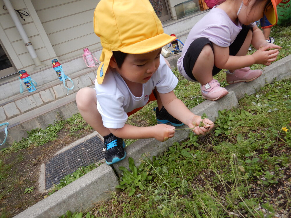 草を抜く子ども