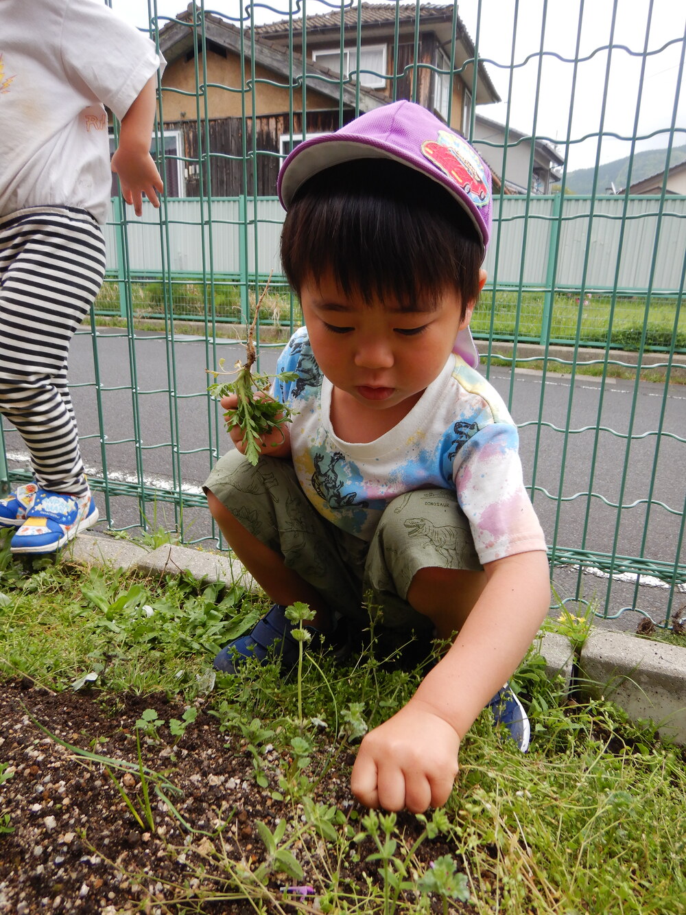草を抜く子ども