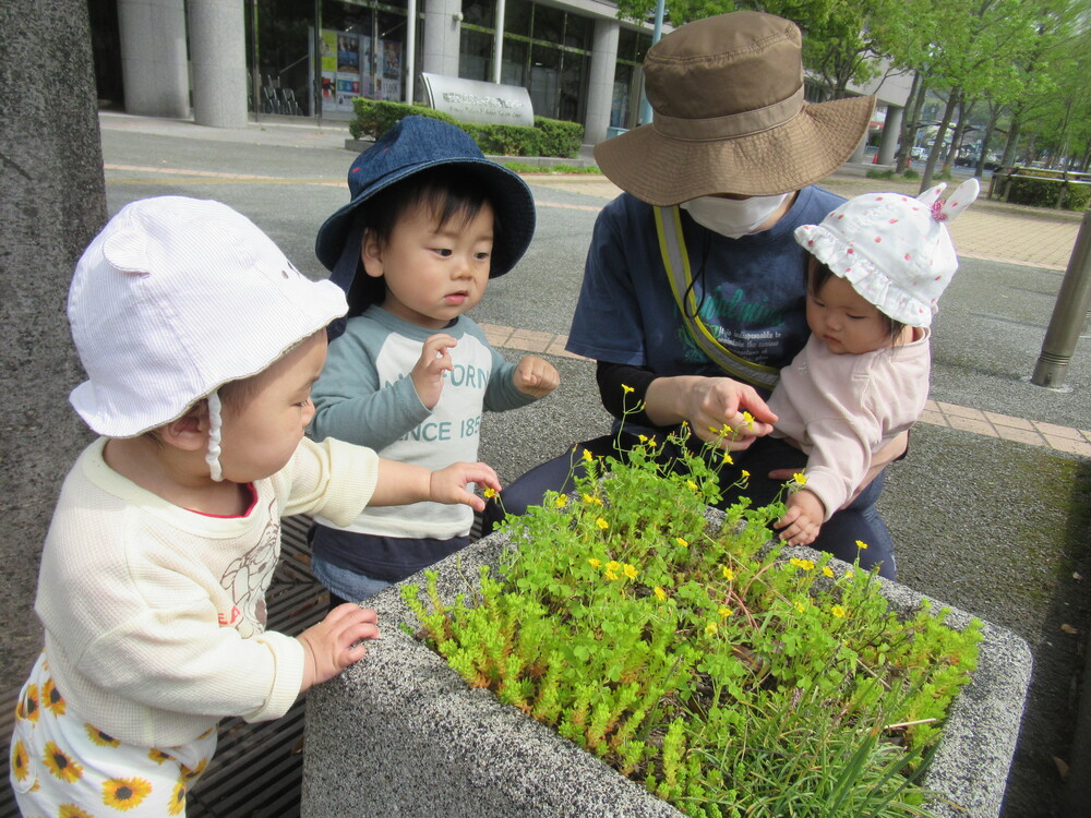 みんなで花壇のお花を見ている