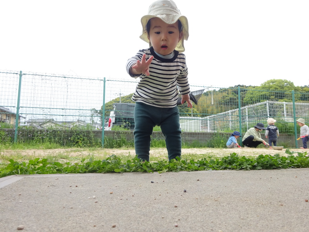 ダンゴムシをみる子ども