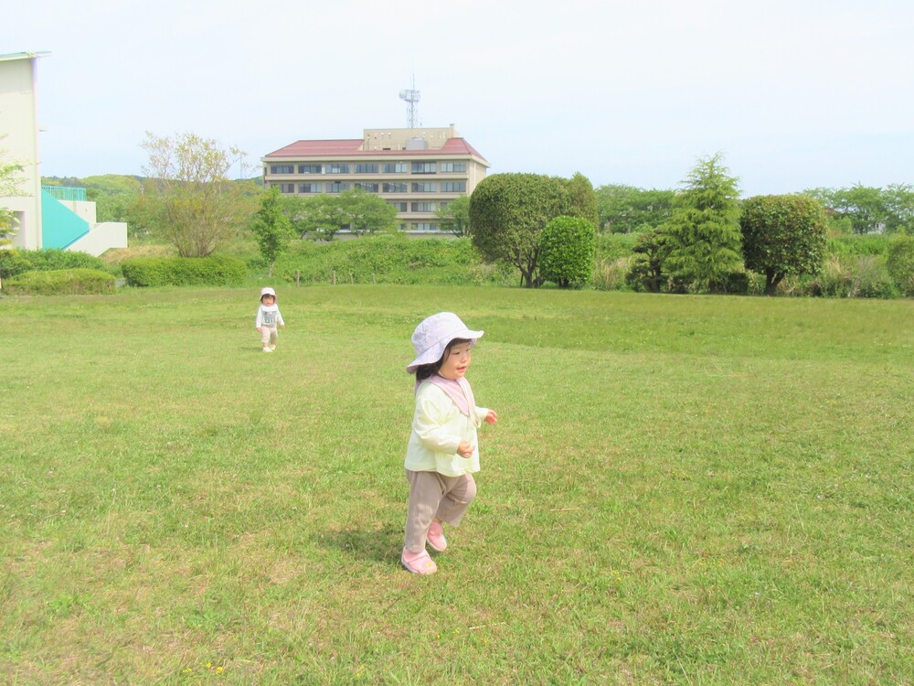 お散歩の様子