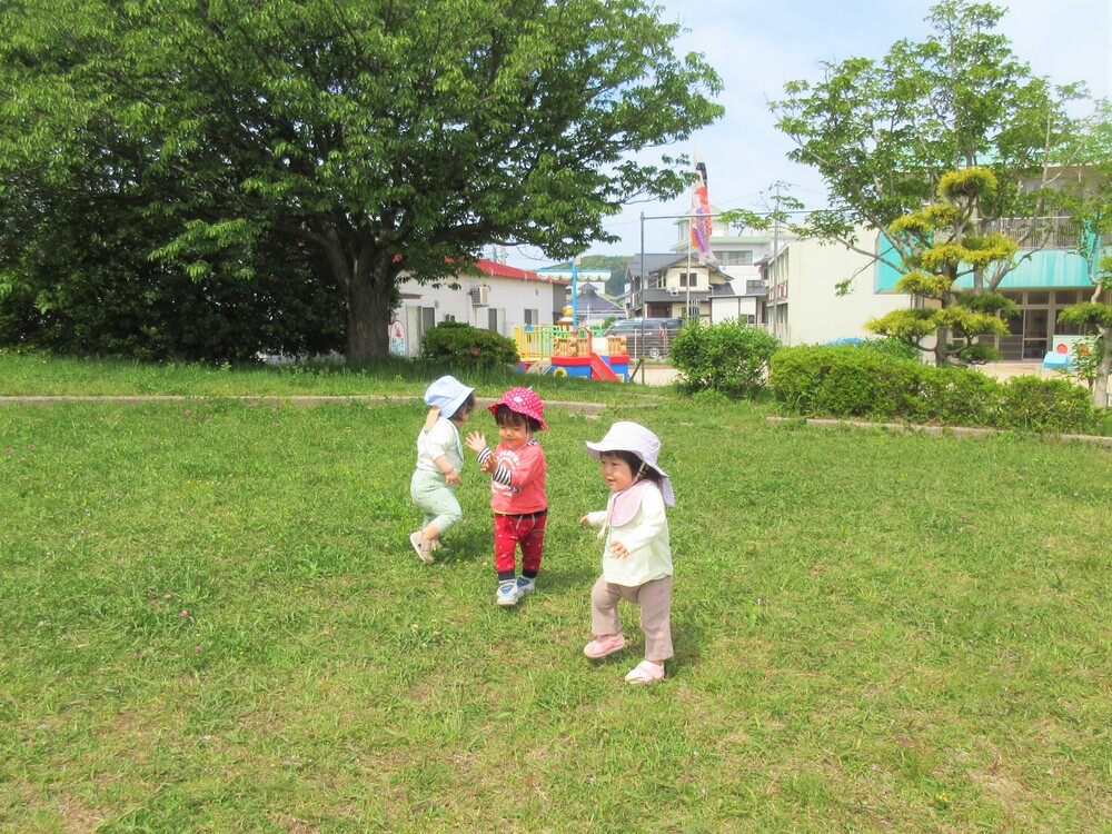 お散歩の様子