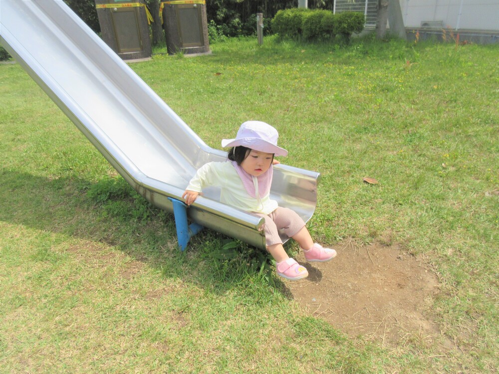 お散歩の様子 