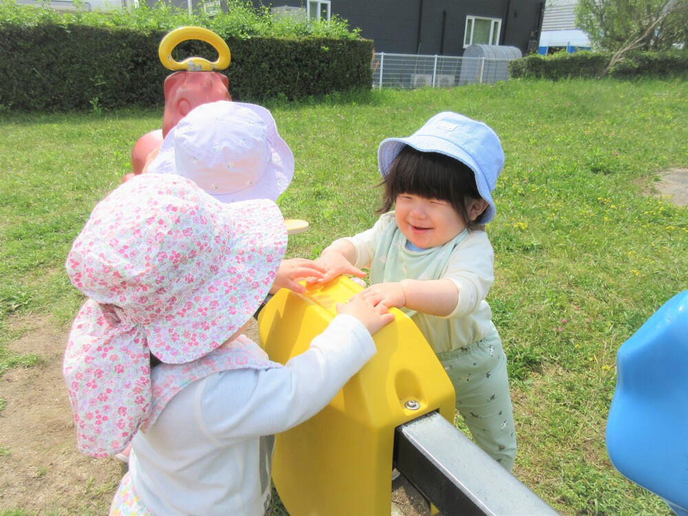 お散歩の様子 