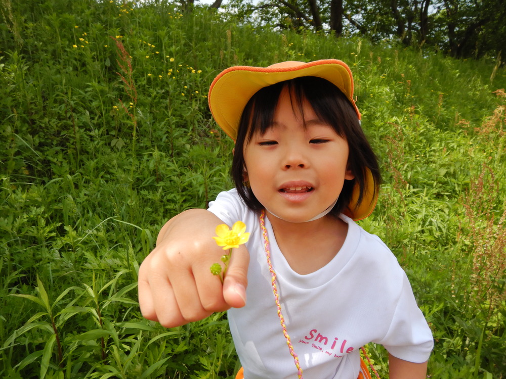 お花を見つける