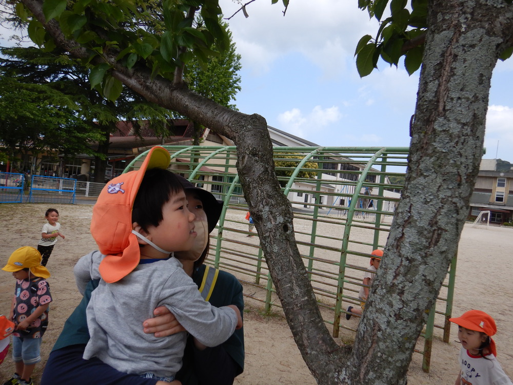 虫を見る
