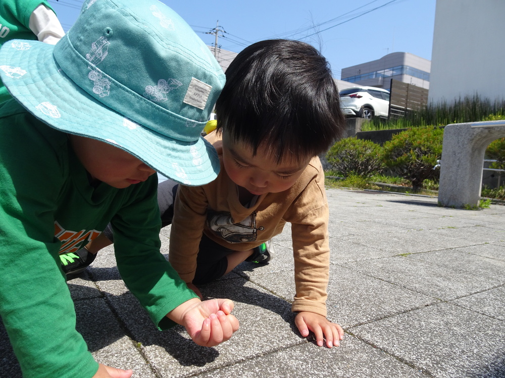 お散歩 (3)