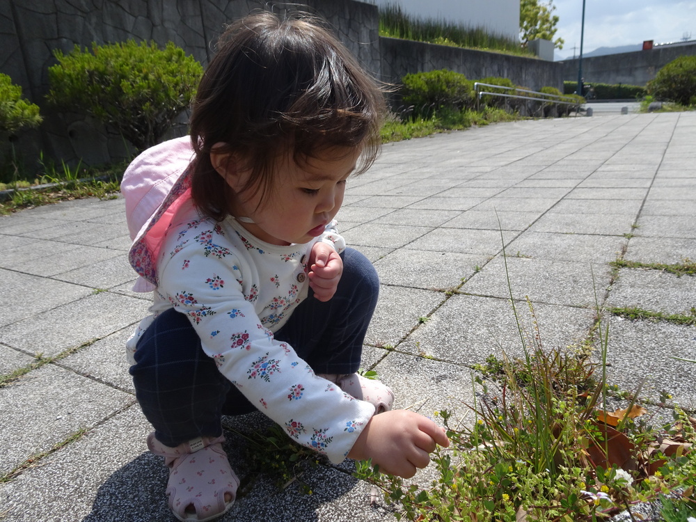 お散歩 (4)