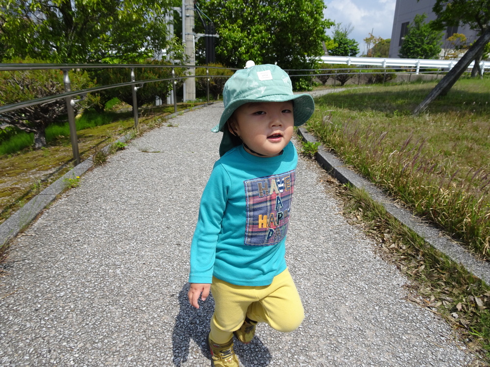 お散歩 (11)