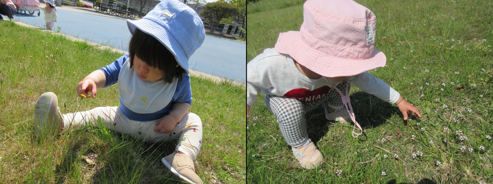 花を触っている