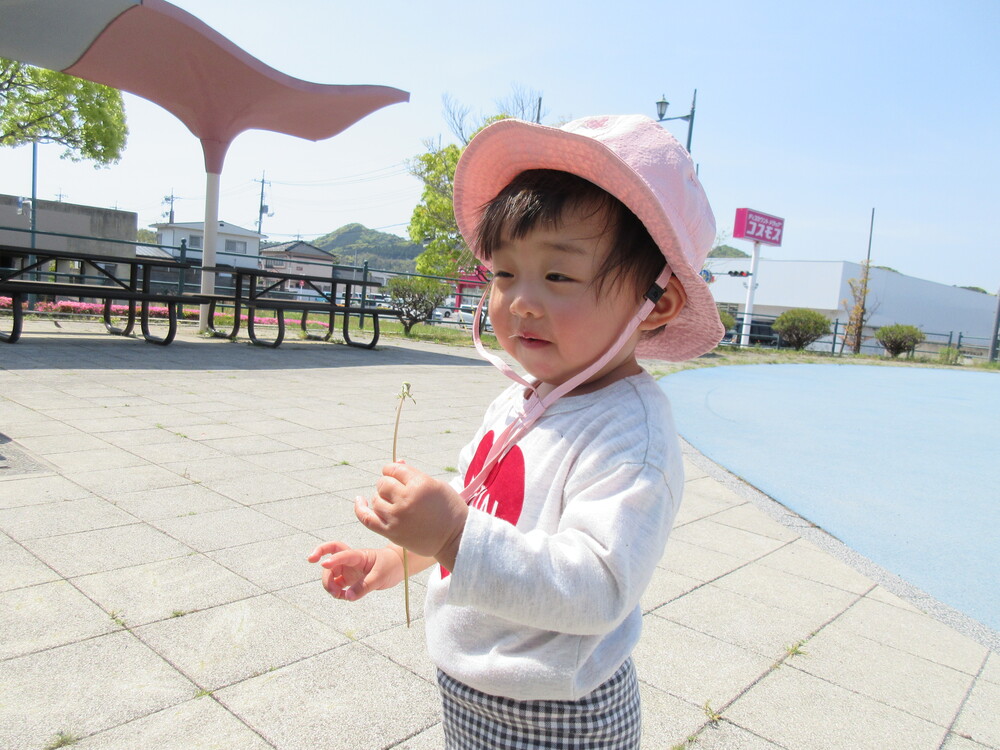 たんぽぽの綿毛を飛ばしている