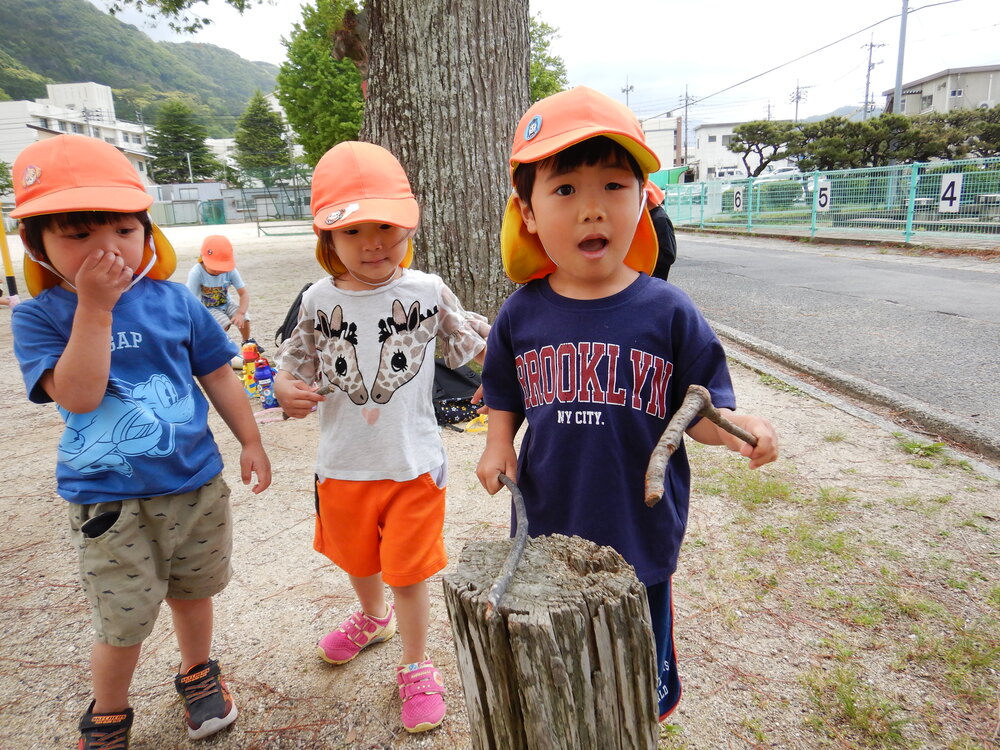 切株と木の枝で演奏会