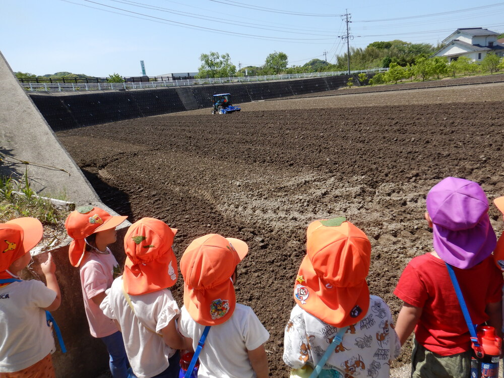田んぼ