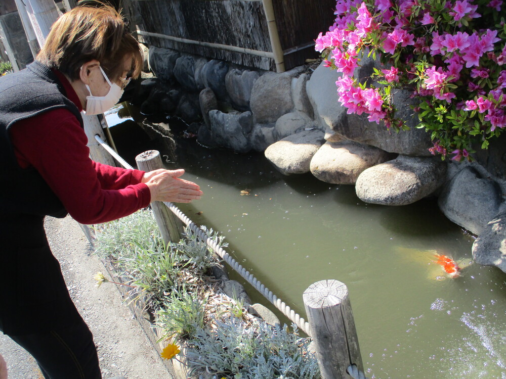 公園