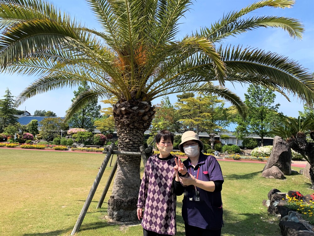 ドライブ