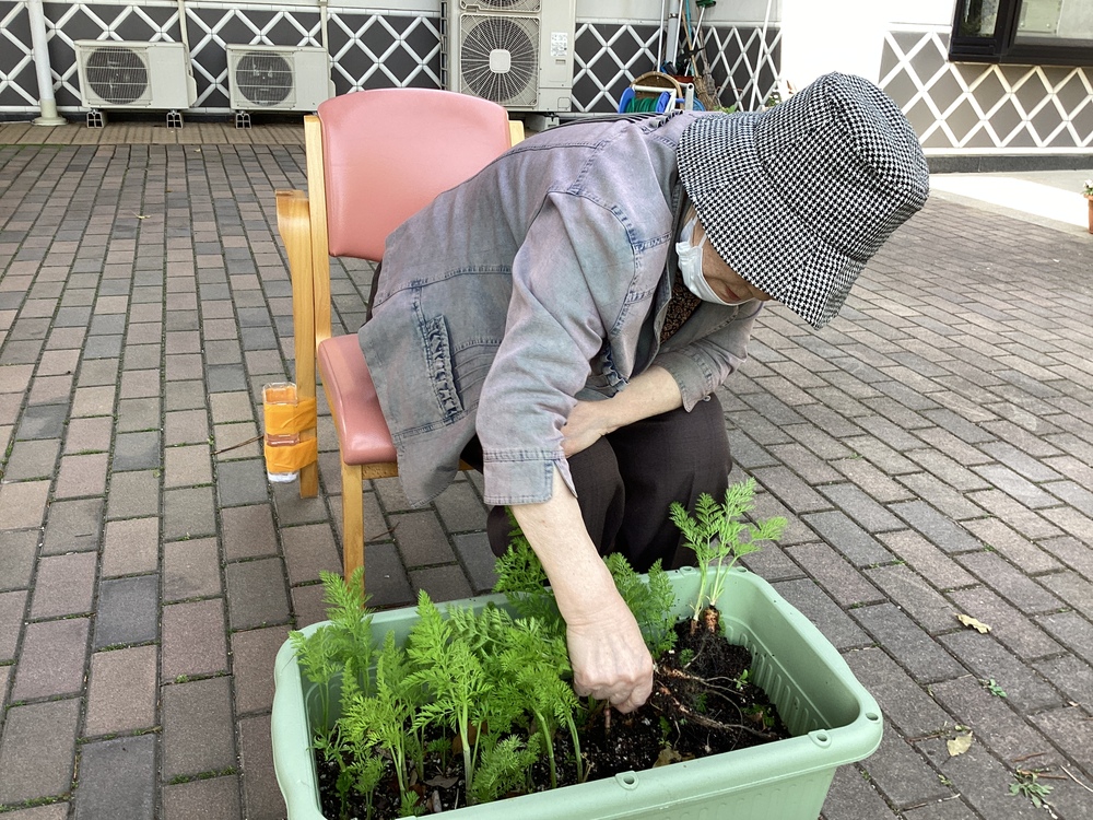 園芸活動